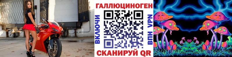 Псилоцибиновые грибы Psilocybine cubensis  Купить где  Комсомольск 
